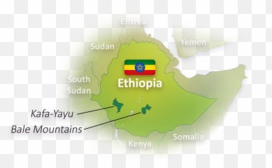Ethiopia Emoji,Type Emoticons Gachi
