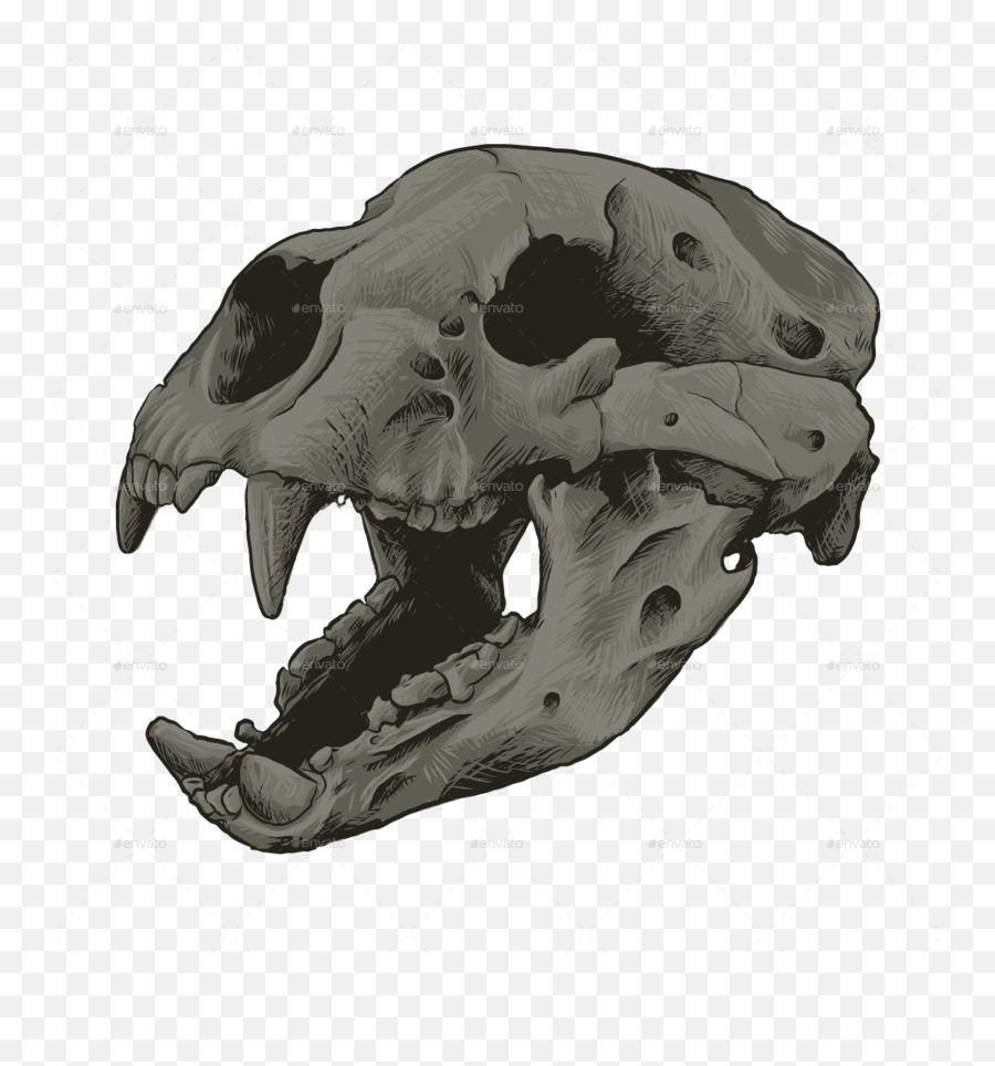 Goat Skull Png - Bear Skull Bear Skull Bear Skull Png Bear Skull Transparent Emoji,Grateful Dead Bear Emoji
