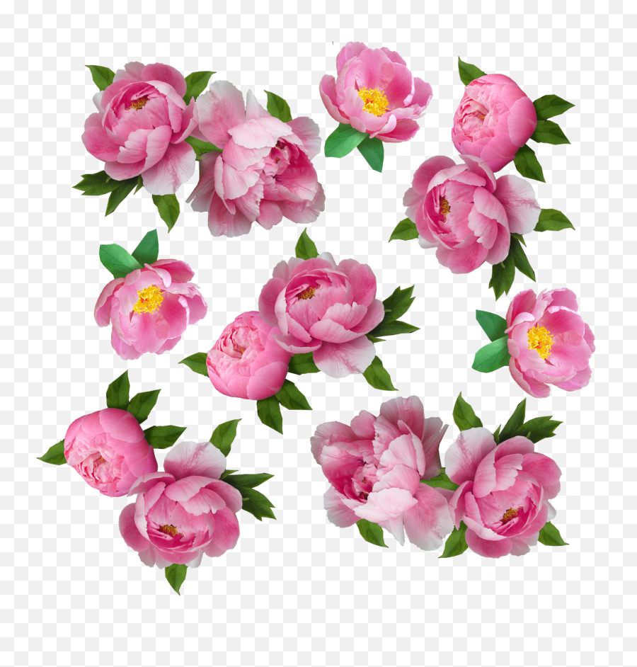 My Next Step Was To Make The Flowers Look More Like - Garden Floral Emoji,Blue Rose Emoji