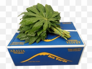 Bloomx - Cardboard Packaging Emoji,Hydrangea Macrophylla Emotion