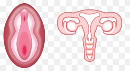 The Worlds First Vagina Emoji Is Here - Vagina Emoji,What Does An Eggplant Emoji Mean