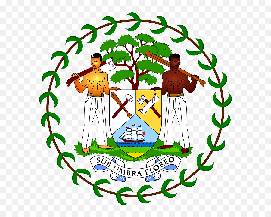 History Meaning Color Codes U0026 Pictures Of Belize Flag - Belize Coat Of Arms Vector Emoji,Guatemala Flag Emoji