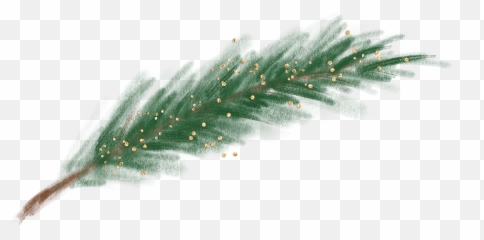Autumn Winter Conifer Evergreen Sticker - Balsam Fir Emoji,Pine Branch Emoji