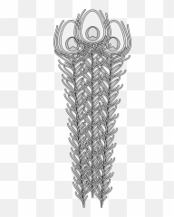 Peacock Emoji,Peacock Feather Ascii Emoticon