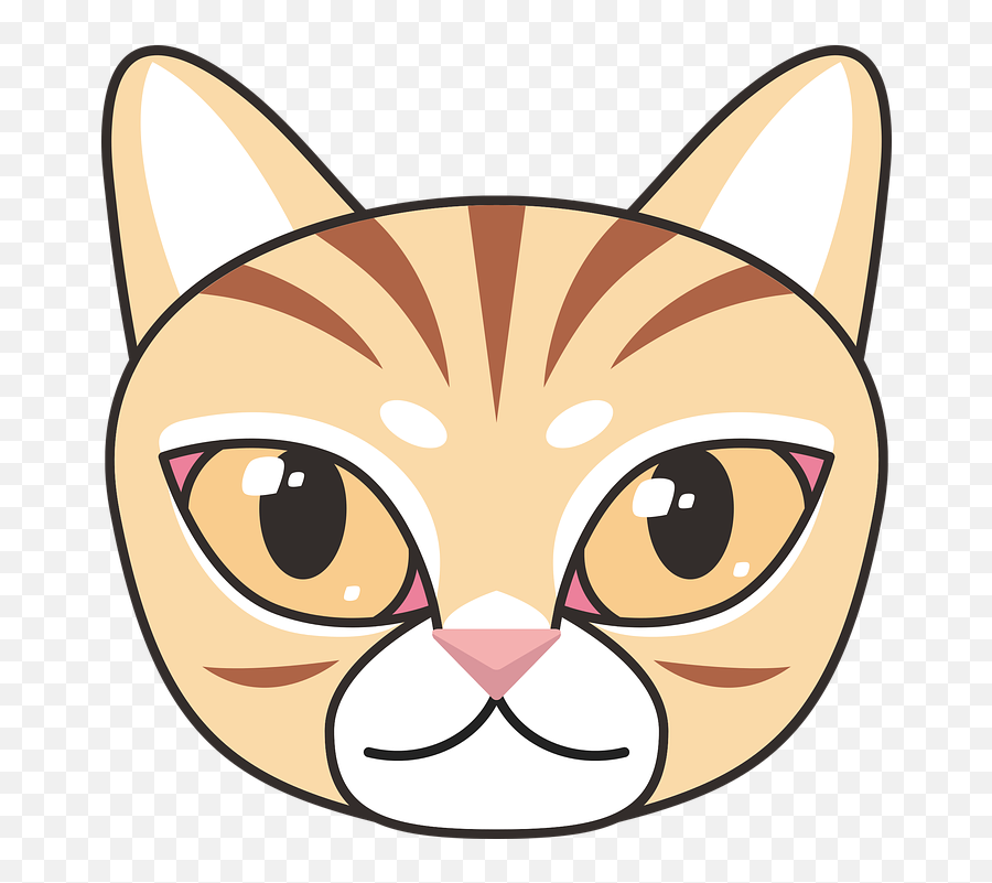 Free Photo Winner Of The Tabby Cartoon Cat Animal Comic - Happy Emoji,Cat's Emotions