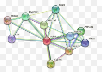 Adh4 Protein - Dot Emoji,Emotion Nitro Cross