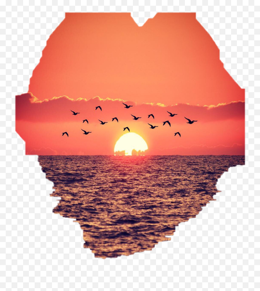 Seagull Sticker Challenge - Red Sky At Morning Emoji,Emoji Pop Drink Sunset