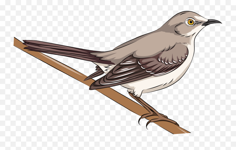 Northern Mockingbird Clipart - Old World Flycatchers Emoji,Northern Ireland Flag Emoji