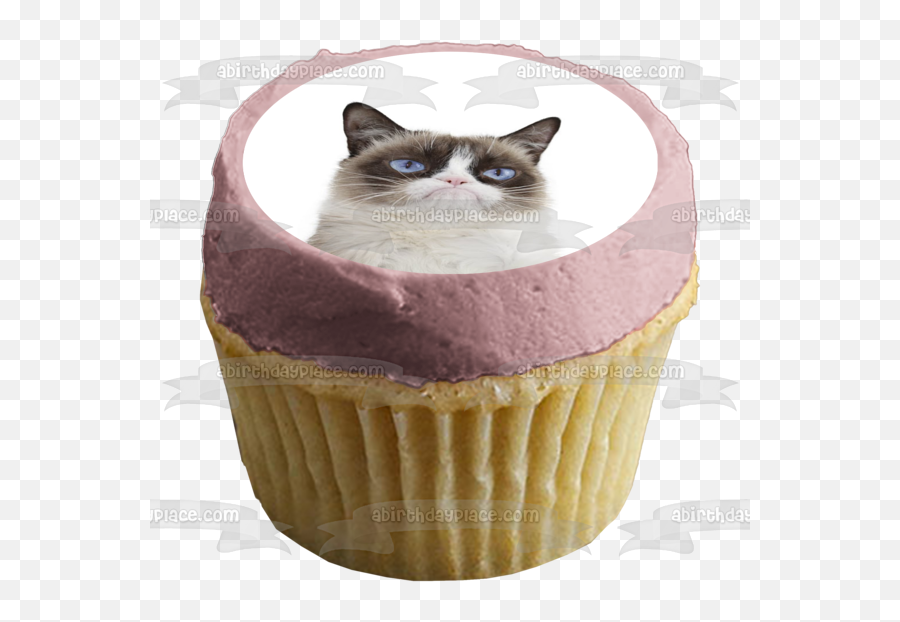 Grumpy Cat Edible Cake Topper Image - A Birthday Place Emoji,Grumpy Cat Emotion Poster
