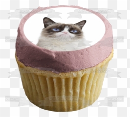 Grumpy Cat Edible Cake Topper Image - A Birthday Place Emoji,Grumpy Cat Emotion Poster