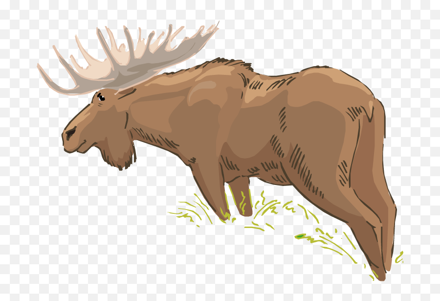Moose Clipart Symbol Canada Moose Symbol Canada Transparent - Clip Art Emoji,Moose Emoji