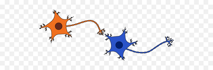How Thc Works Neuroscience And Psychology Biology And Life Emoji,Motivation And Emotion Zou How Thc Works Neuroscience And Psychology Biology And Life Emoji,Motivation And Emotion Zou