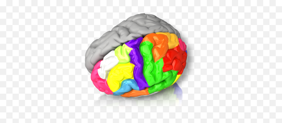 Why Emotional Intelligence Is Key To Valuable Change U2013 Changecom - Brain Emoji,Time Magazine On Emotions