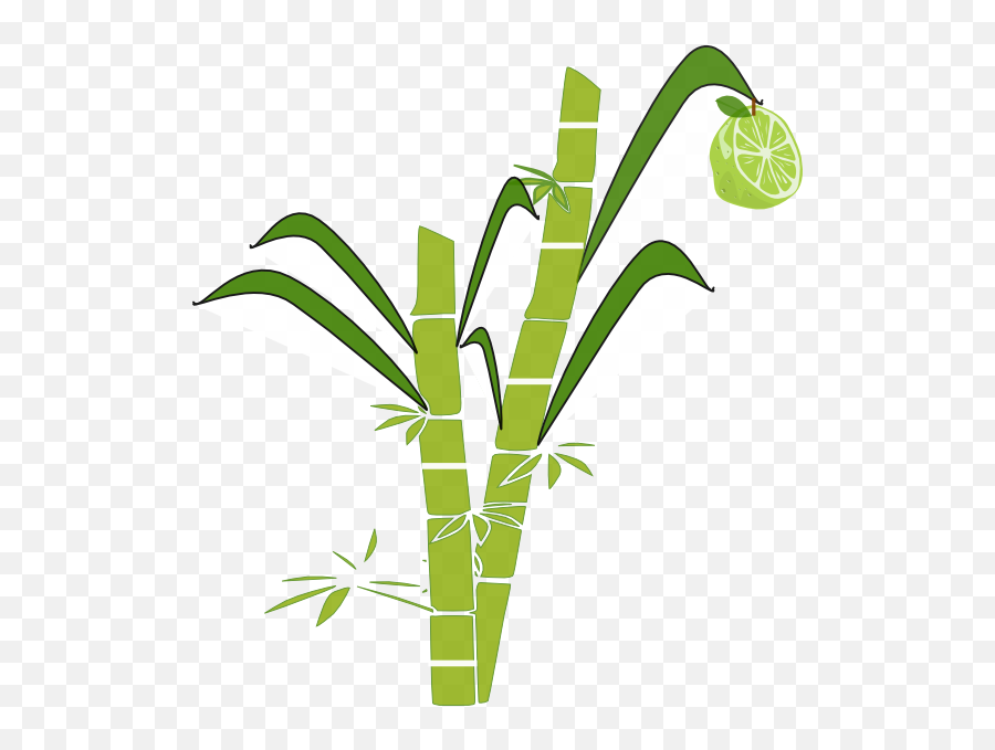 Old Clipart Cane Picture - Easy Sugar Cane Drawing Emoji,Old Man With Cane Emoji