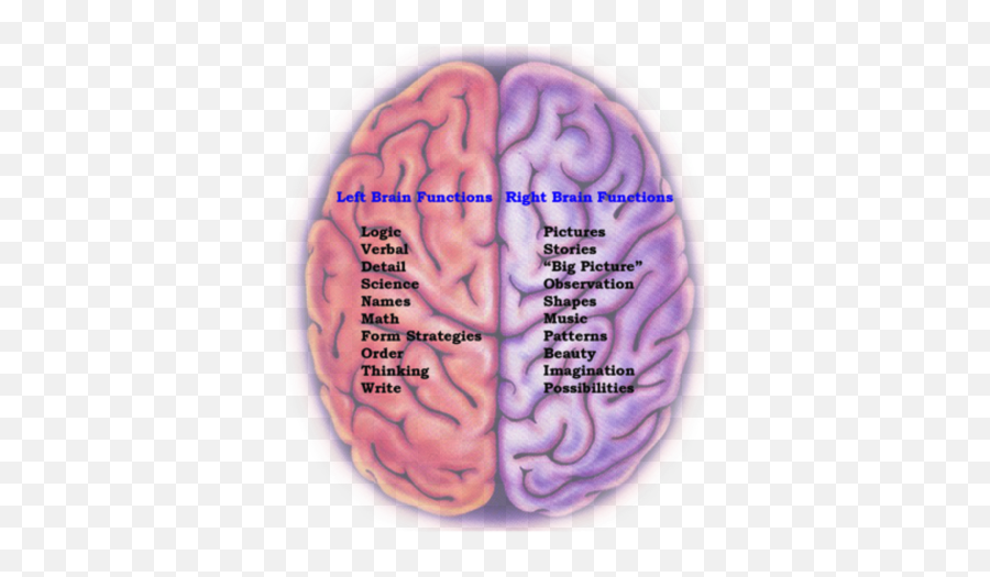 Sd Neuroplasticity - Brain Neuro Linguistic Programming Emoji,Brain Emotion Map