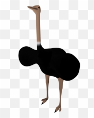 Black Ostrich Png Pictures - 1790 Transparentpng Emoji,Emojis No Backround