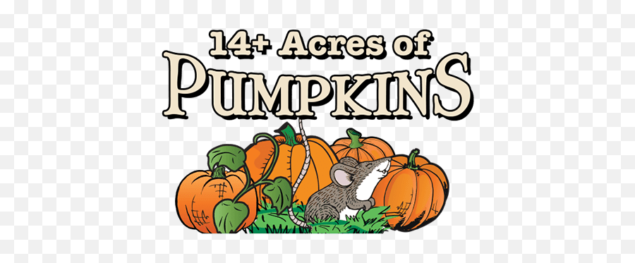 Fall Fun - Schusteru0027s Farm Deerfieldmadison Wi Emoji,Pumpkin Emoticon Aim