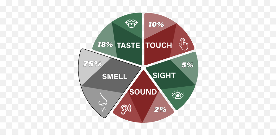 Scents Affect Mood - Vertical Emoji,Emotion Chart