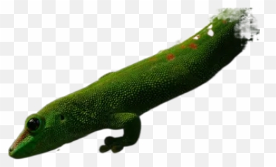 Brown Long Coated Dog On Beach During Daytime Transparent Emoji,Lizard Emoji Png
