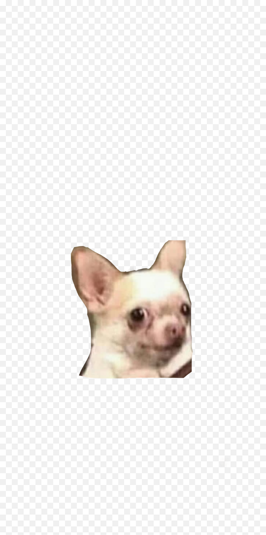 Meme Creation Transparent Png Stickers Whatsapp Memes Png - Chihuahua Sticker Whatsapp Emoji,Doge Emoji Png
