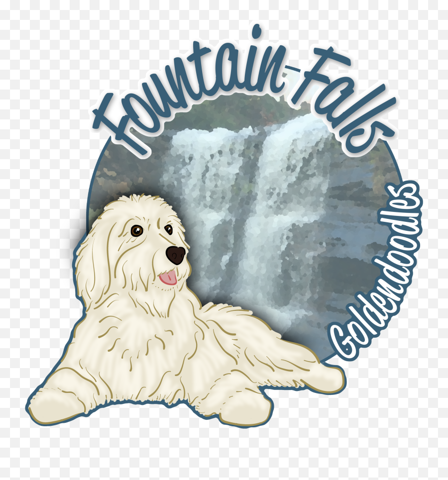 Blog U2014 Fountain Falls Goldendoodles - Northern Breed Group Emoji,Dog Development Emotions