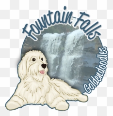 Blog U2014 Fountain Falls Goldendoodles - Northern Breed Group Emoji,Dog Development Emotions
