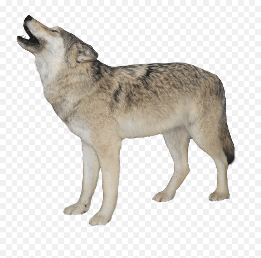 Howling Wolf Sticker - Wolf Transparent Png Emoji,Howling Wolf Emoji