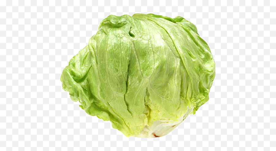Romaine Lettuce Vegetable Greens Bargli - Transparent Iceberg Lettuce Png Emoji,Head Of Lettuce Emoji