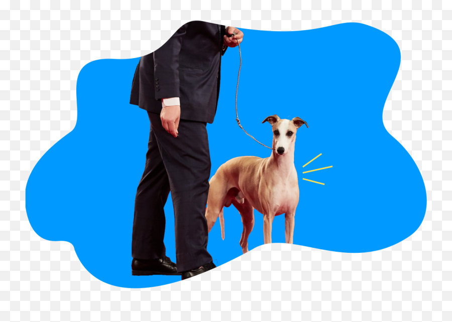 2021 Reviews Of The Best Calming Dog Treats Dog Anxiety Emoji,Dog Cartoon No Emotion