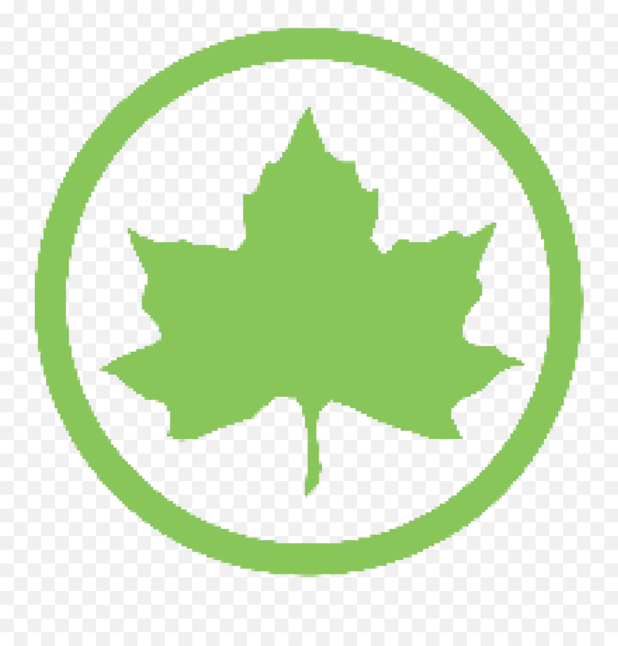 Health Empowerment Celebration Emoji,What Does Maple Leaf And Wheel Emoji Mean