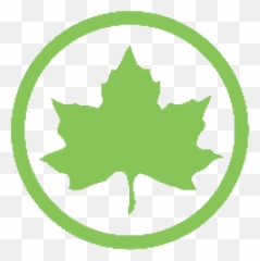Health Empowerment Celebration Emoji,What Does Maple Leaf And Wheel Emoji Mean