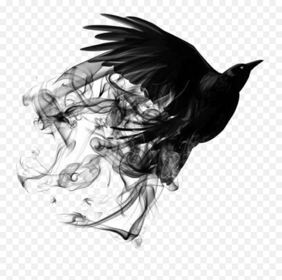 Mirahmzn Miyajann - Profile Pinterest Black Smoke Bird Png Emoji,Emoji Gay Couple