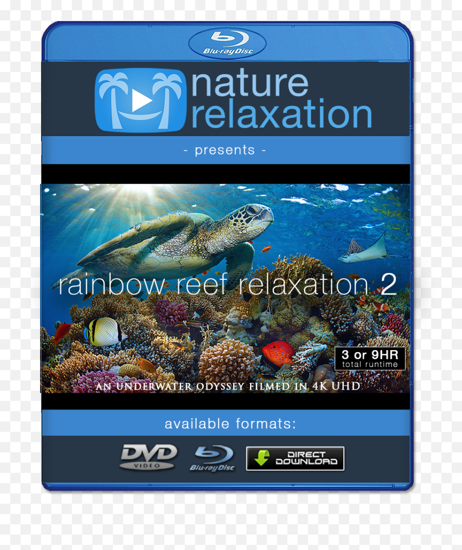 Rainbow Reef Relaxation Ii 3 Or 9 Hour Undersea Nature Film Emoji,The Sims 4 Turtle Emotion