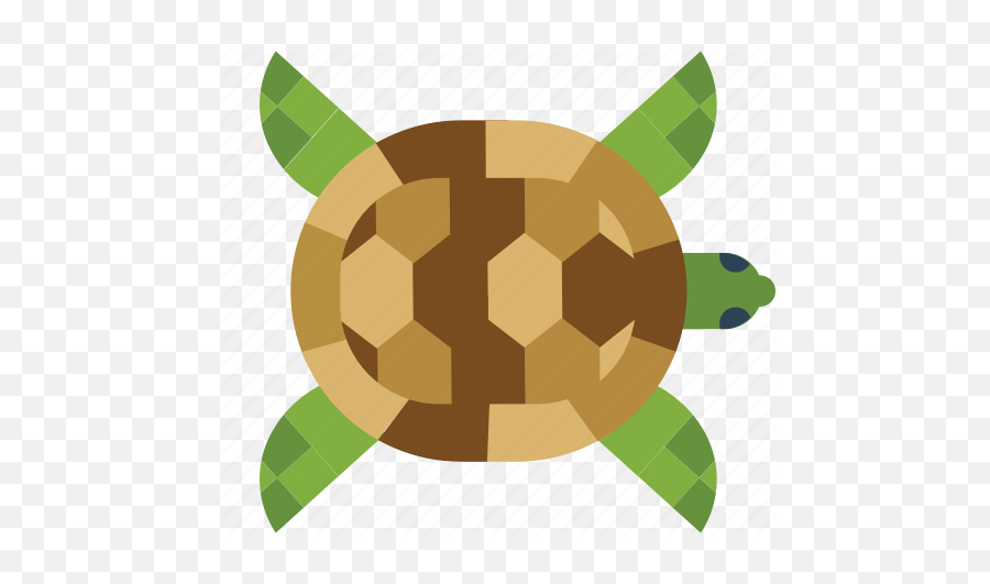 Animal Australia Sea Turtle Icon - Download On Iconfinder Tortoise Emoji,Aus Flag Emoji