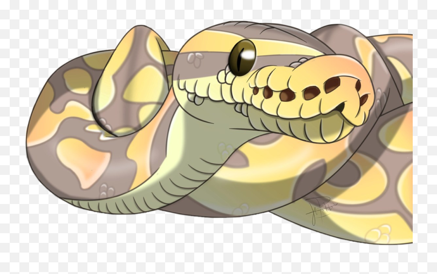 Discover Trending - Cute Ball Python Drawing Emoji,Emoji Ball Python