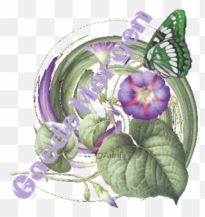 Van Alles Wat - Beach Moonflower Emoji,Emoticons Blozen
