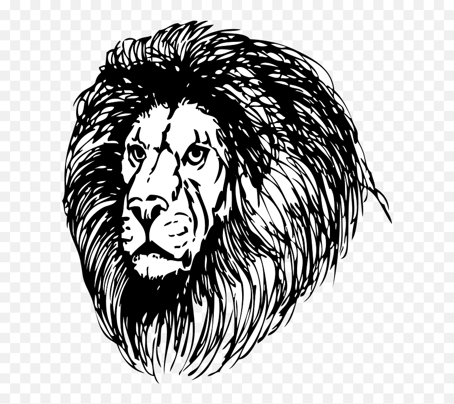 Powerful Cat Head Strong Power Lion - Mane Clipart Black And White Emoji,Real Lions Emotions