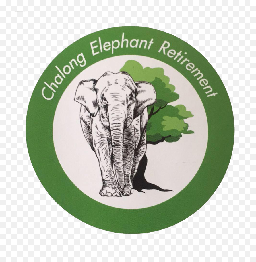 Phuket Elephant Trips Elephant Park - Elephant Hyde Emoji,Elephants + Emotions + Happiness