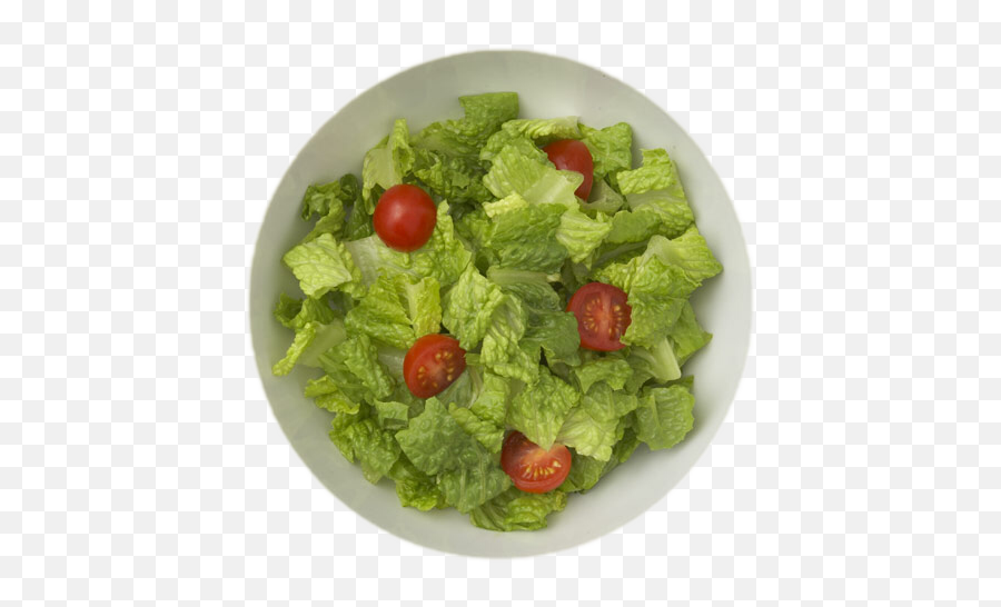 Discover Trending - Diet Food Emoji,Salad Emoji