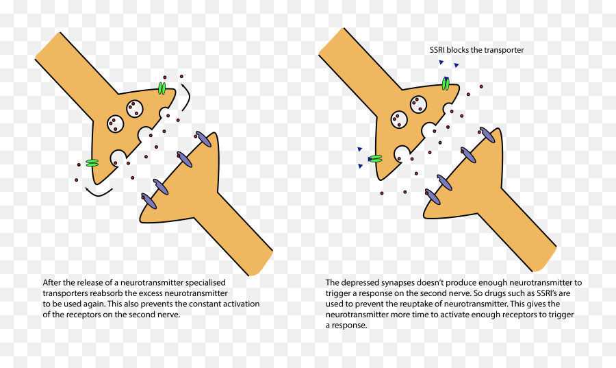 Depression An Introduction U2013 Nocisci - Vertical Emoji,Neurotransmitters And Emotions