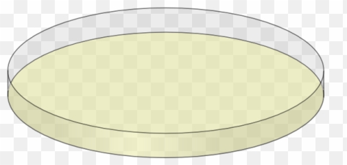 Plastic Petri Dish - Clip Art Library Emoji,Bacteria Plate Emoji
