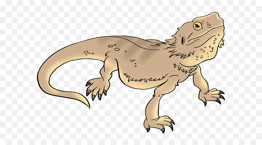 How To Draw A Bearded Dragon Step By Step Drawing Tutorials Emoji,Leo Gecko Emoji