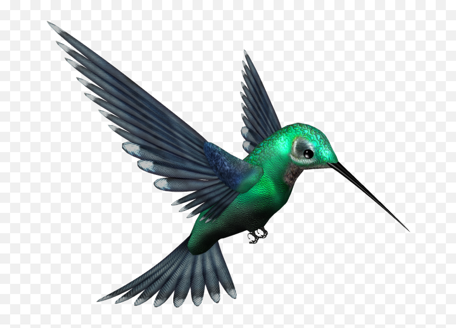 Humming Bird Psd Official Psds - Picsart Bird Png Hd Emoji,Hummingbird Emoji