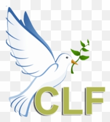Words And Definitions Christian Like Fellowship - Palomas De La Esperanza Emoji,Emoji Express Us Constitution