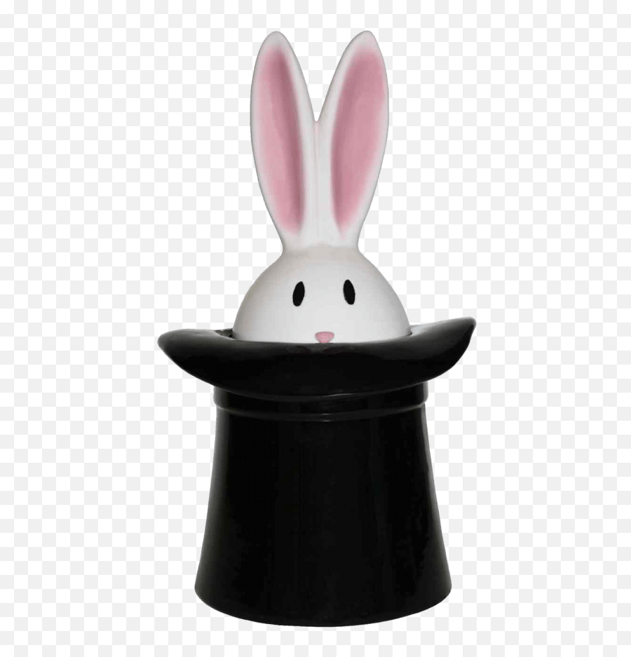 Free Png Rabbit Hat Image Png - Rabbit In The Hat Png Emoji,Emojis For The Tale Of Peter Rabbit