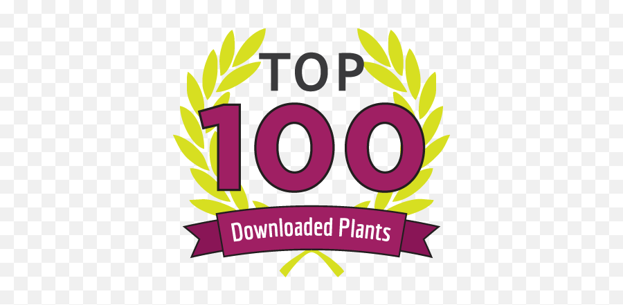 Online Plant Database - Construction Design For Tshirt Emoji,Picture Of Sweet Emotion Abelia In Garden