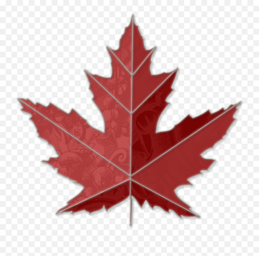Free Maple Leaf Transparent Download Free Clip Art Free - Chinar Leaf Logo Png Emoji,Toronto Maple Leafs Emoticon