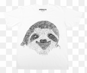 Brother Nature X Animalia Classic Sloth Tee - Short Sleeve Emoji,Sloth Emoticon Facebook