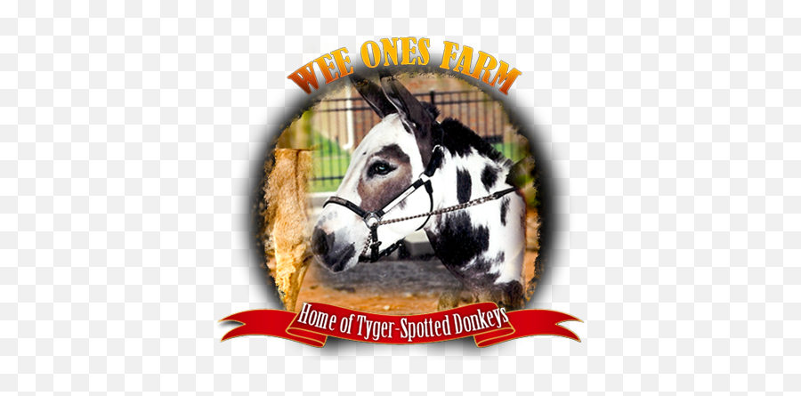 Hee Haw Archives - Wee Ones Farm Miniature Donkeys Halter Emoji,Breyers Emoticons