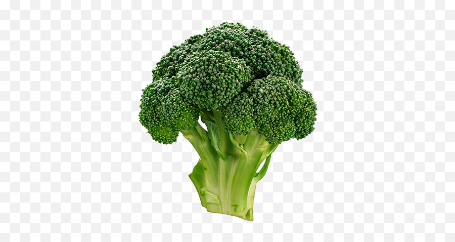 Broccoli 1 Piece Emoji,Veggies Emoji Broccoli